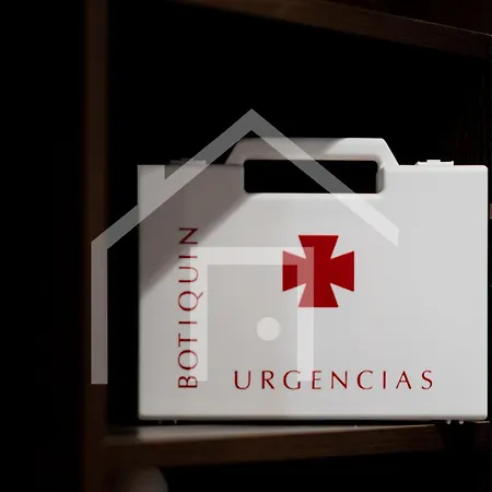 Loft Arco De Zapatos,casco Historico *