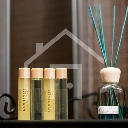 Loft Arco De Zapatos,casco Historico Apartment