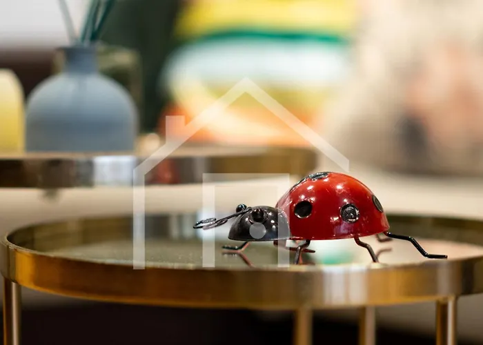 Loft Arco De Zapatos,casco Historico